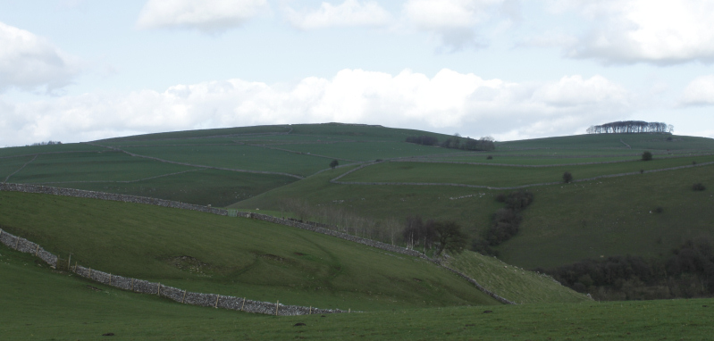 Johnson's Knoll Johnson's Knoll